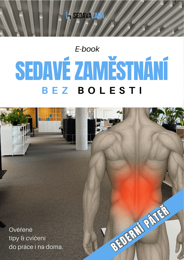 E-book bederní páteř